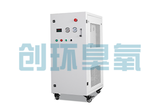 肃宁石斑鱼养殖水质调控完整指南:臭氧发生器配置与操作步骤