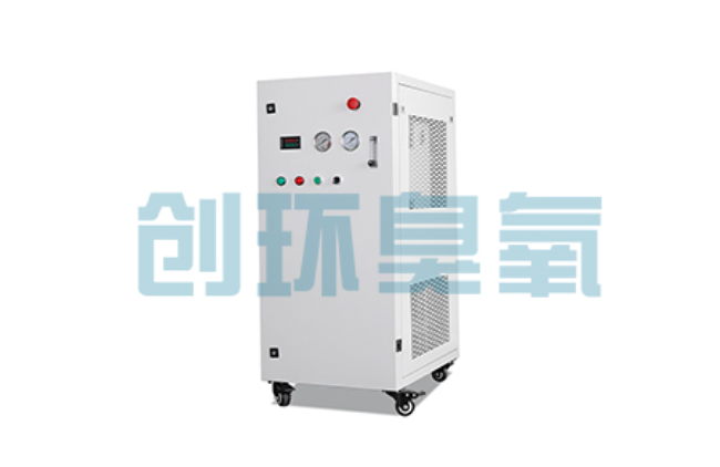 肃宁比传统换水更高效?臭氧发生器在石斑鱼养殖中的水质净化原理解析